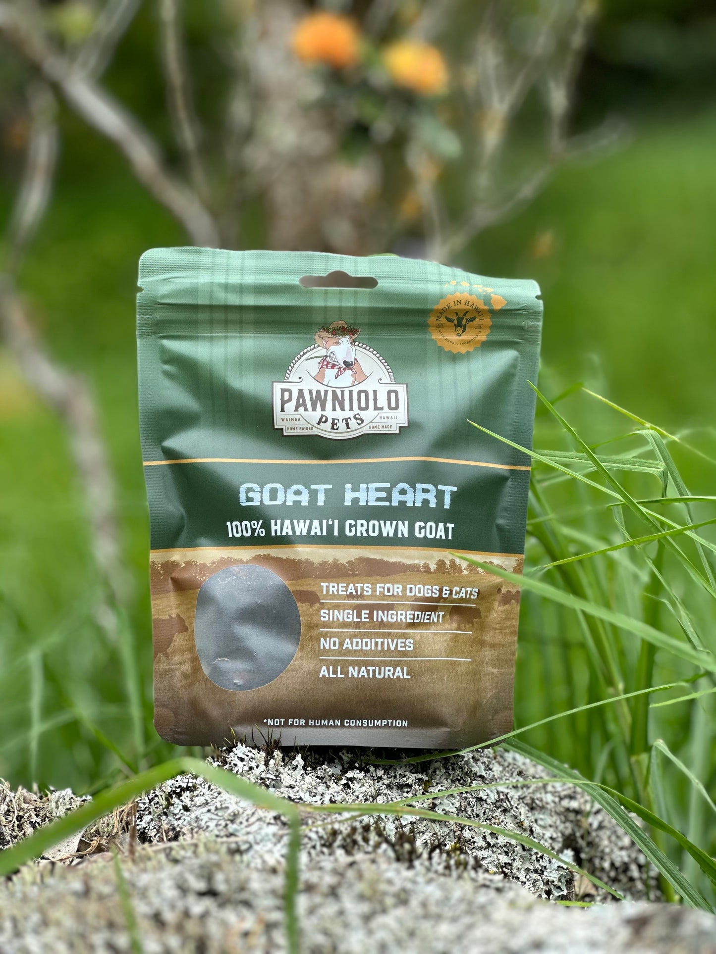 Goat Heart