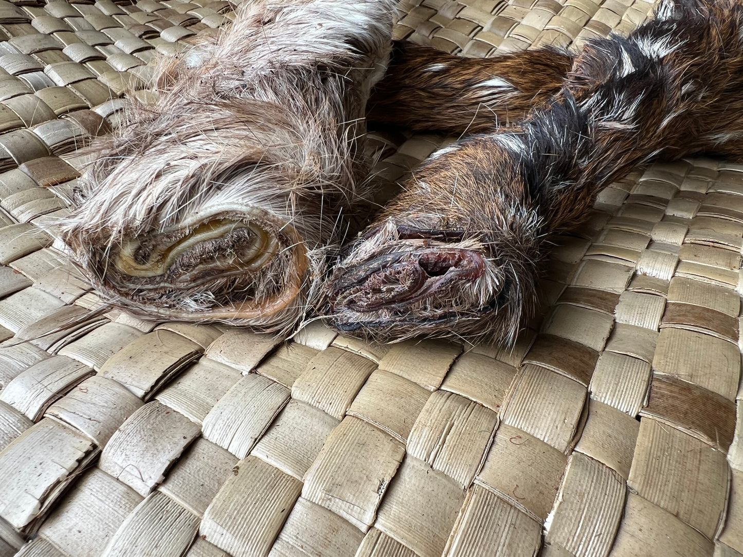 Venison Hide Roll