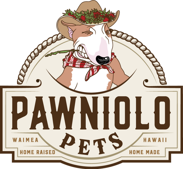 Pawniolo Pets logo