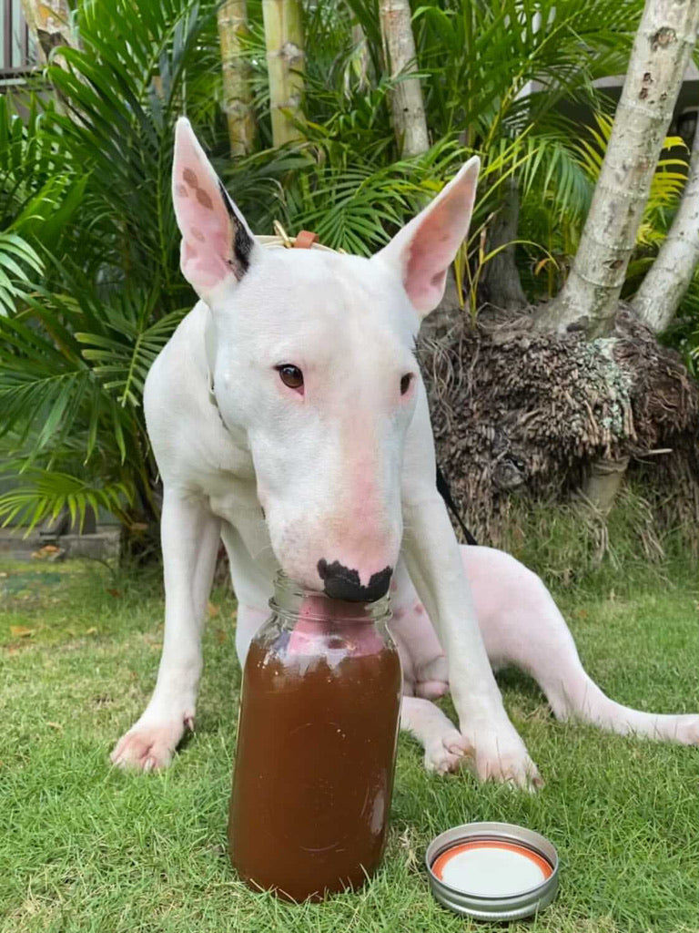 IN STOCK!! Beef Bone Broth (Contact Us Directly To Order)