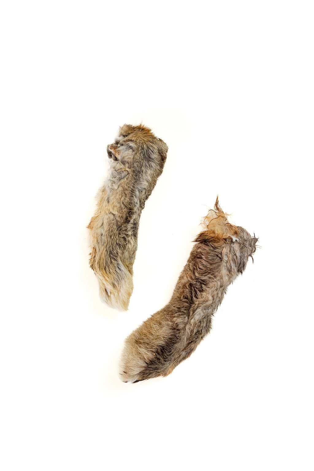 Rabbit Feet