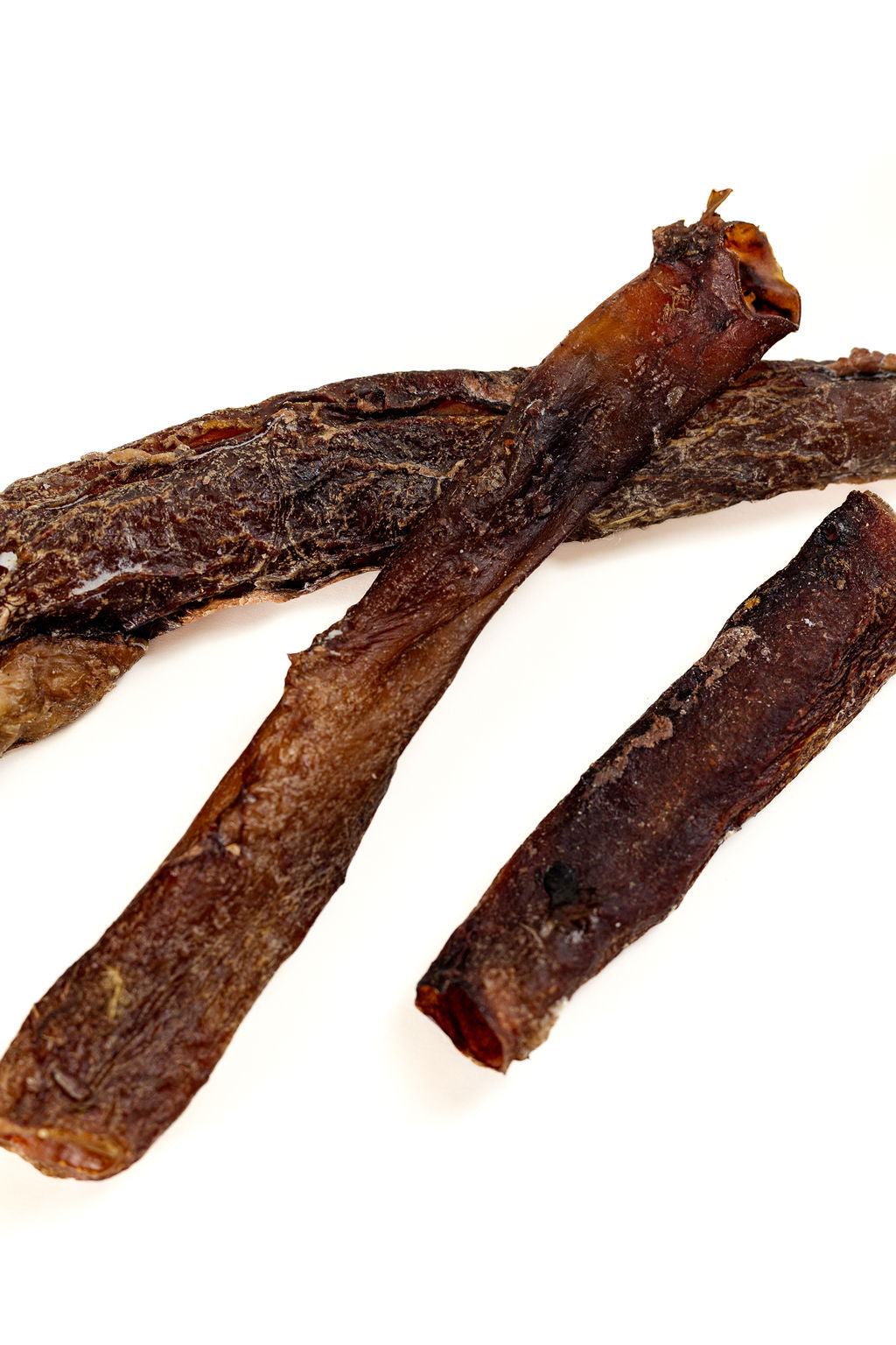 Beef Artery