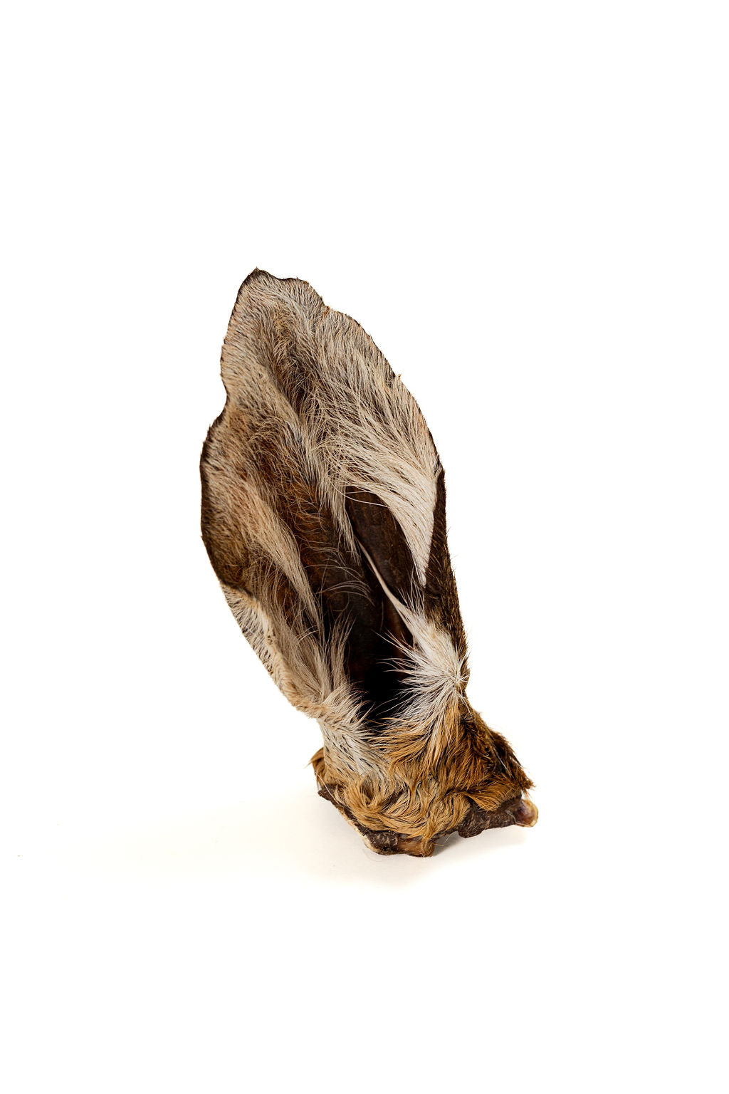 Venison Ear