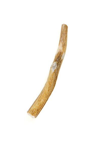 Deer Antler