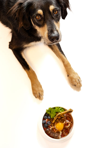 2# Raw Beef Pet Food