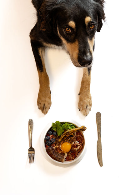 2# Raw Venison Pet Food