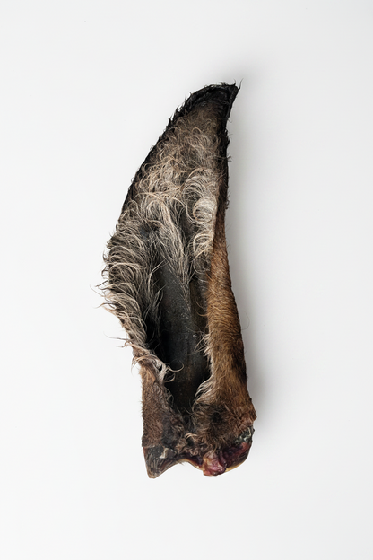 Donkey Ear