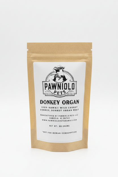 Donkey Organ