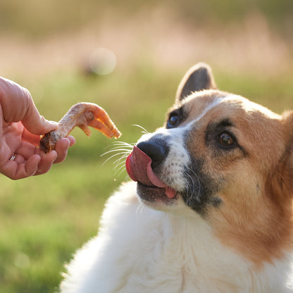 Chicken Chews