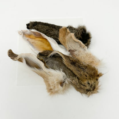 Rabbit Ears